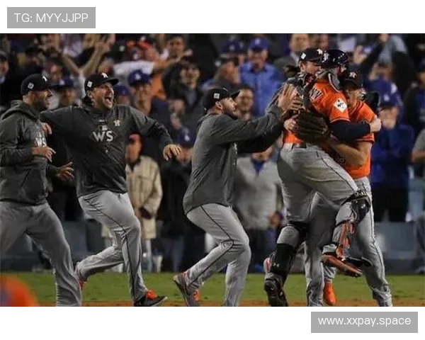 北美体育联赛排名（北美三大体育联盟）sports